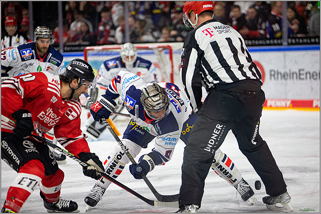 PENNY DEL; Koelner Haie- Iserlohn Roosters; Koeln, 24.01.2023